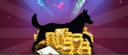 scambio di punti dingo casino