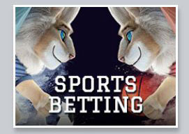 white lion sports betting